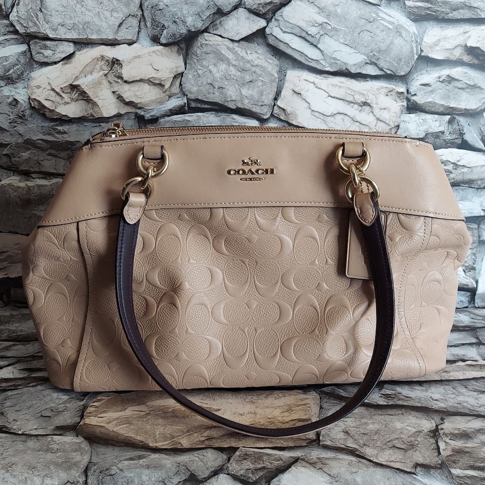 BROOKE CARRYALL IN SIGNATURE LEATHER (COACH F25952)